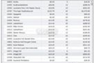 DevExpress Silverlight Controls预览：